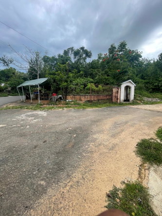 Seventh image of Mango Valley Road in Boscobel, St. Mary, Jamaica - property is For Sale