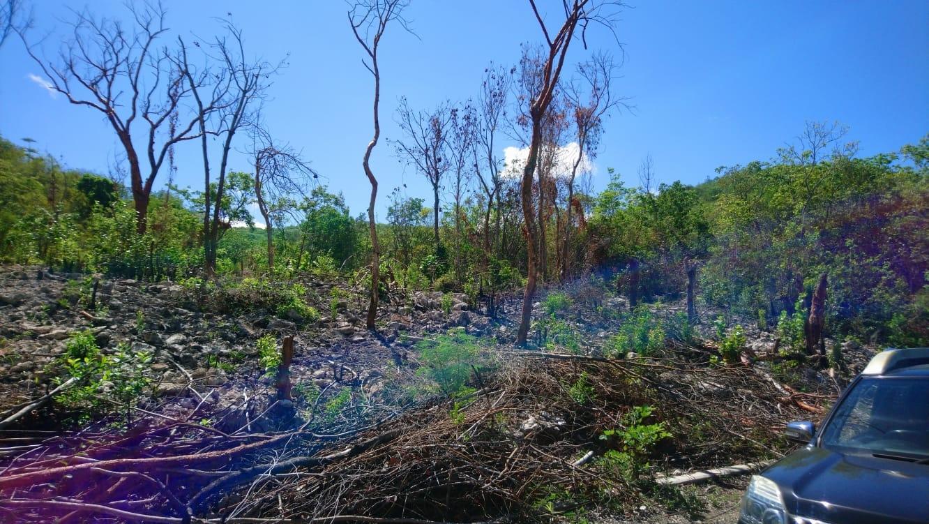 Second image of Block A-lot 116 Blue Mountain Road, Albio in Yallahs, St. Thomas, Jamaica - property is For Sale