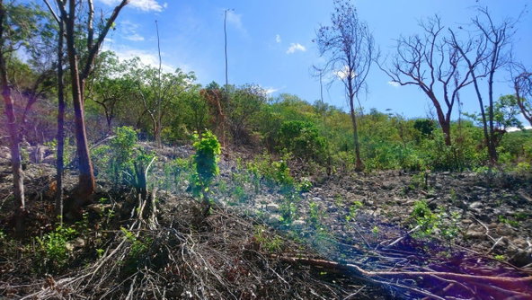 Third image of Block A-lot 116 Blue Mountain Road, Albio in Yallahs, St. Thomas, Jamaica - property is For Sale