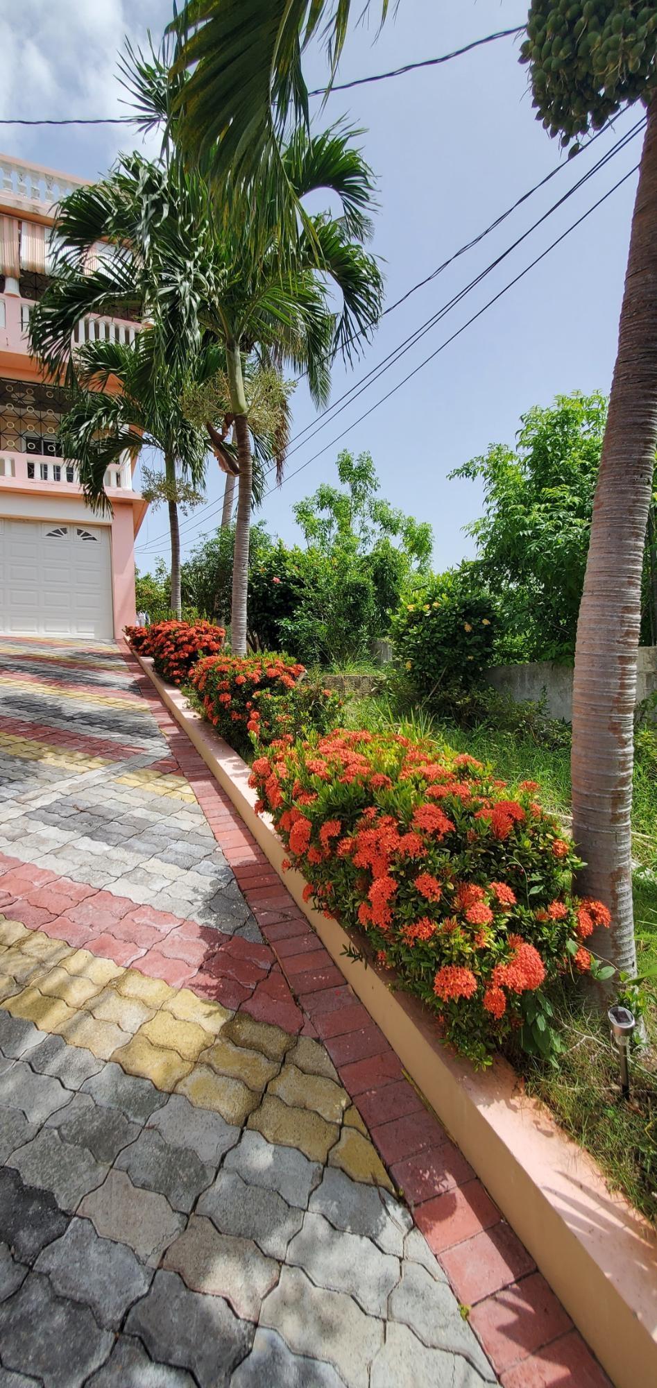 Eleventh image of Twin Palms Estate in Palmers Cross, Clarendon, Jamaica - property is For Rent