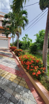Eleventh image of Twin Palms Estate in Palmers Cross, Clarendon, Jamaica - property is For Rent