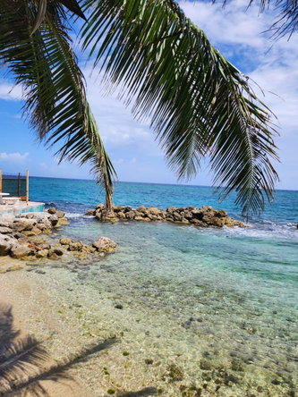 Fourteenth image of B29- Chrisanns Beach Resort in Tower Isle, St. Mary, Jamaica - property is For Sale