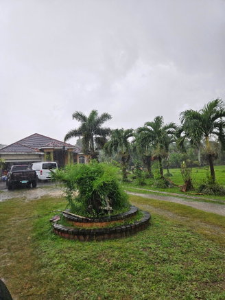 First image of Lot 2 Part of Hyde, Bog Walk in Linstead, St. Catherine, Jamaica - property is For Sale