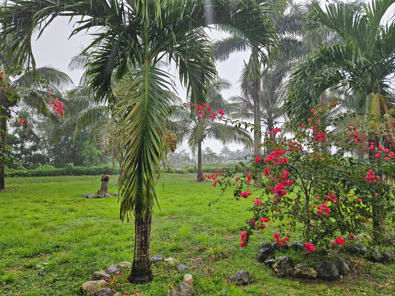 Second image of Lot 2 Part of Hyde, Bog Walk in Linstead, St. Catherine, Jamaica - property is For Sale