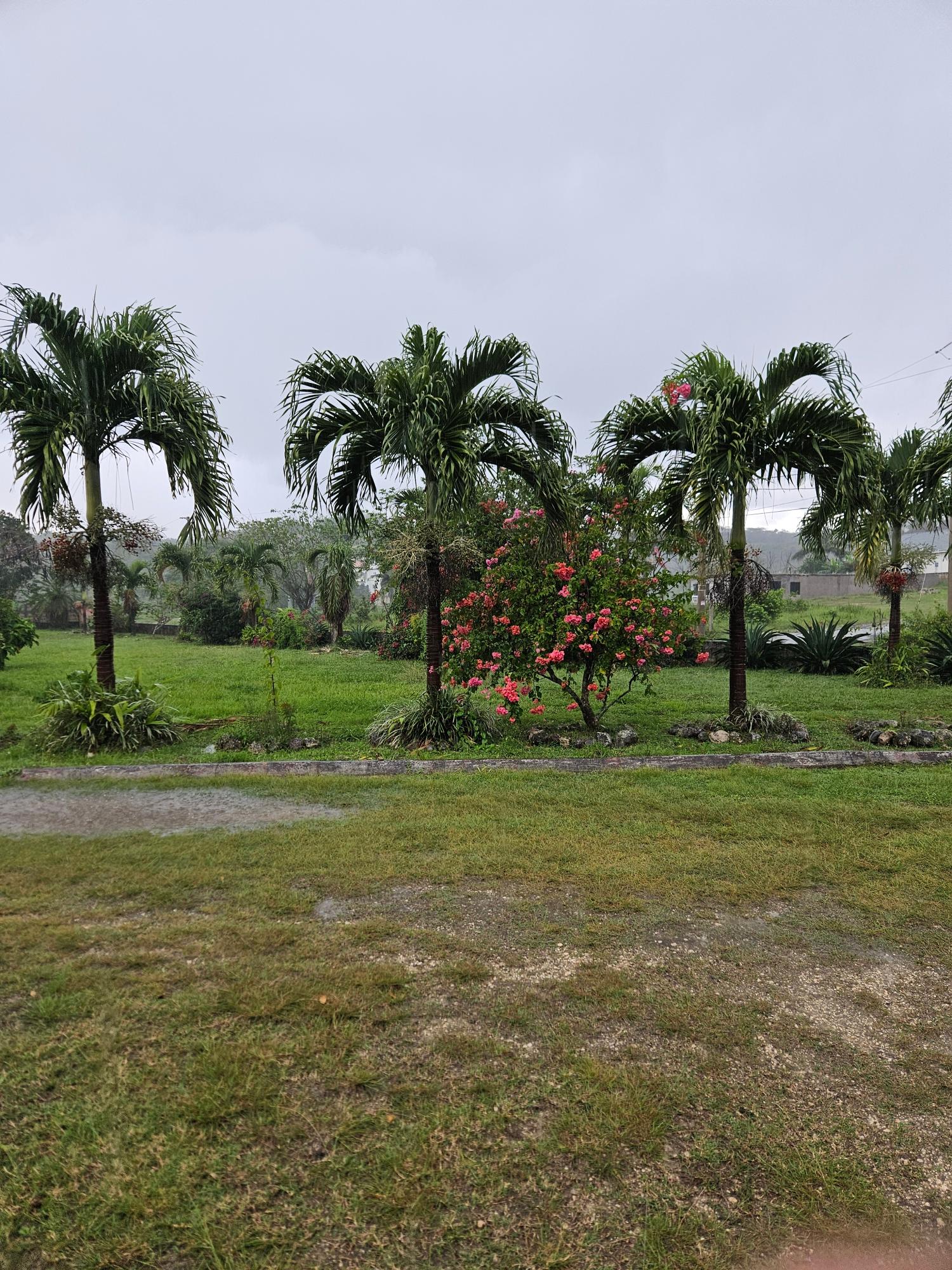 Third image of Lot 2 Part of Hyde, Bog Walk in Linstead, St. Catherine, Jamaica - property is For Sale