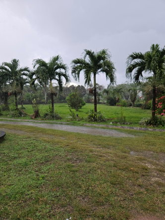 Fourth image of Lot 2 Part of Hyde, Bog Walk in Linstead, St. Catherine, Jamaica - property is For Sale