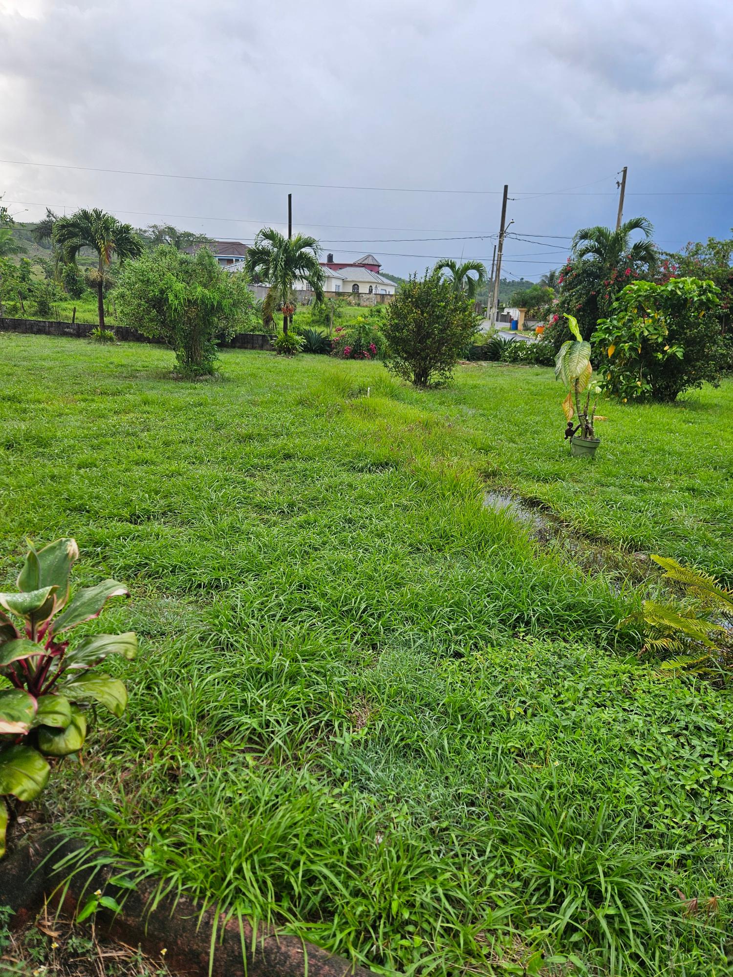 Seventh image of Lot 2 Part of Hyde, Bog Walk in Linstead, St. Catherine, Jamaica - property is For Sale