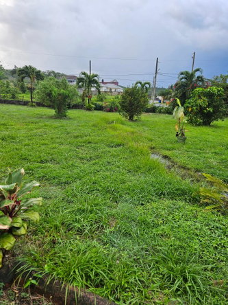 Seventh image of Lot 2 Part of Hyde, Bog Walk in Linstead, St. Catherine, Jamaica - property is For Sale