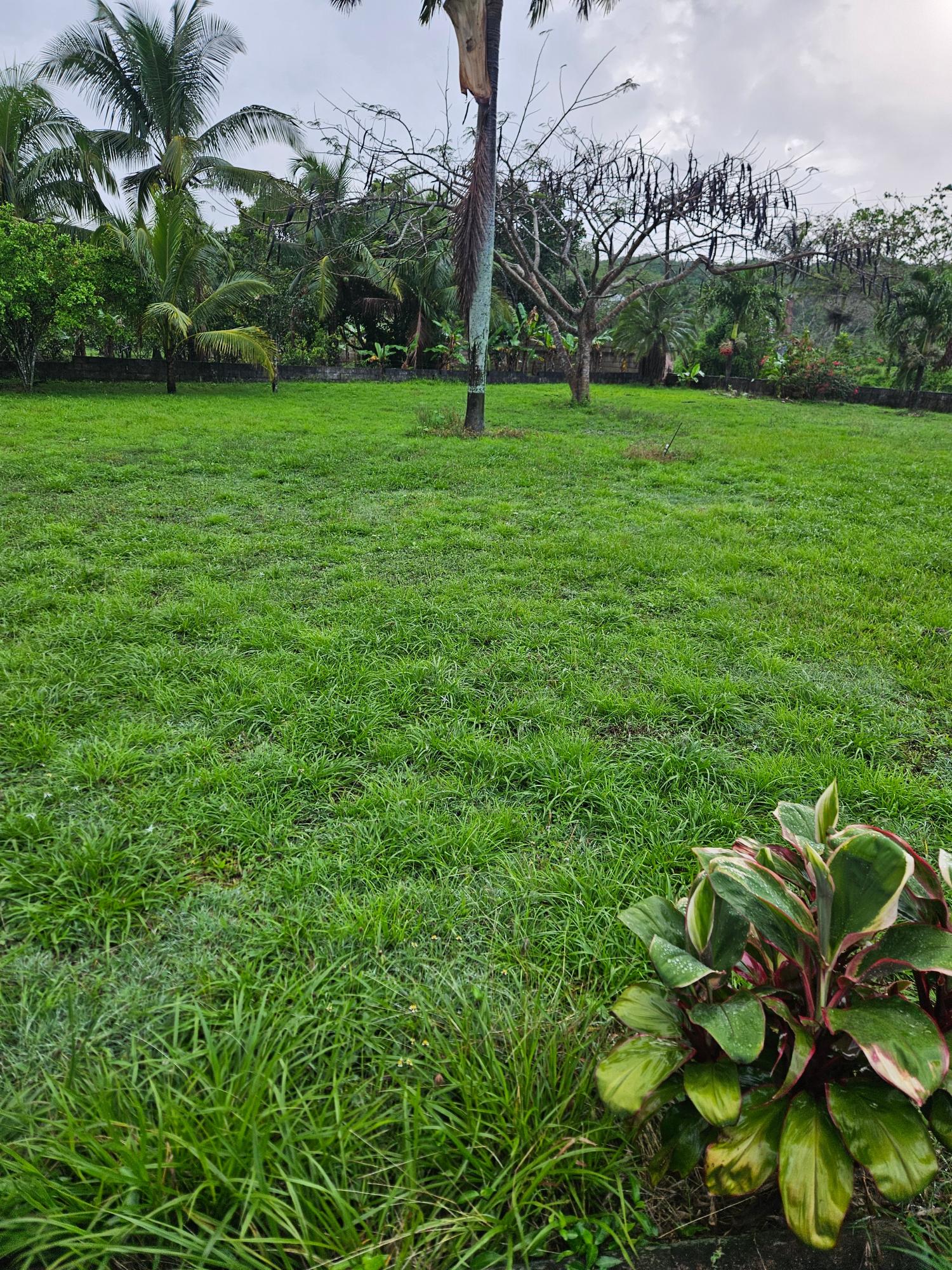 Eighth image of Lot 2 Part of Hyde, Bog Walk in Linstead, St. Catherine, Jamaica - property is For Sale