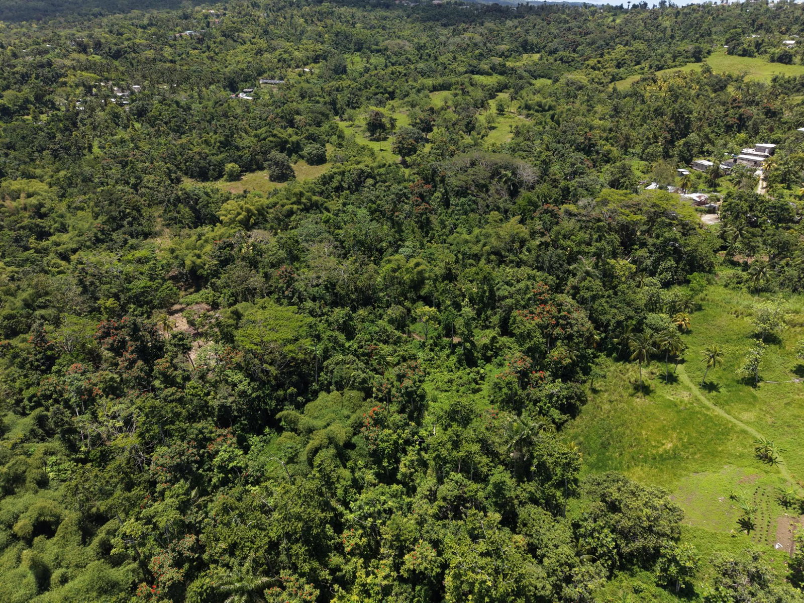 First image of 107- Highgate in Highgate, St. Mary, Jamaica - property is For Sale