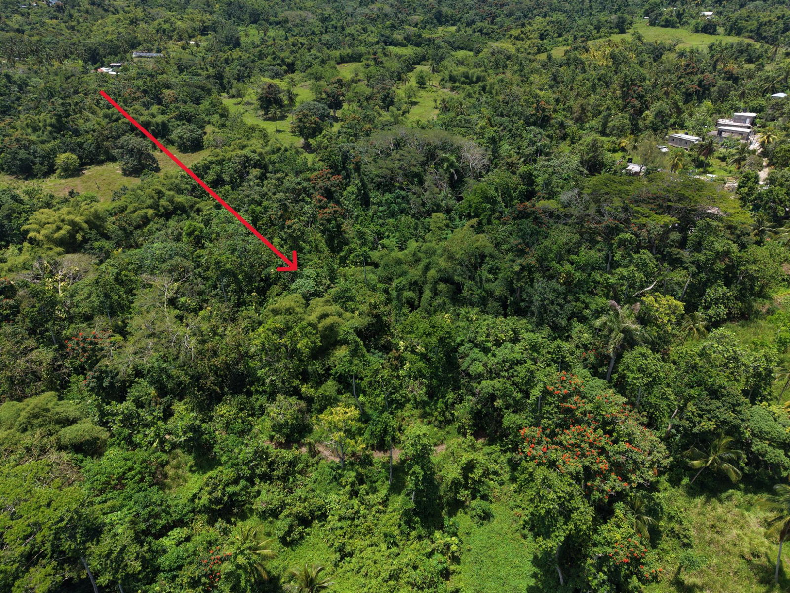 Fourth image of 107- Highgate in Highgate, St. Mary, Jamaica - property is For Sale