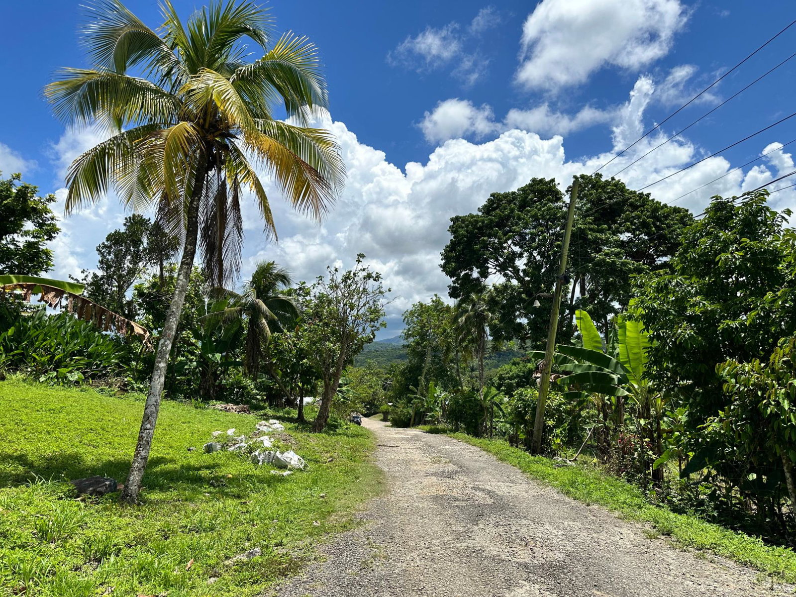 Seventh image of 107- Highgate in Highgate, St. Mary, Jamaica - property is For Sale