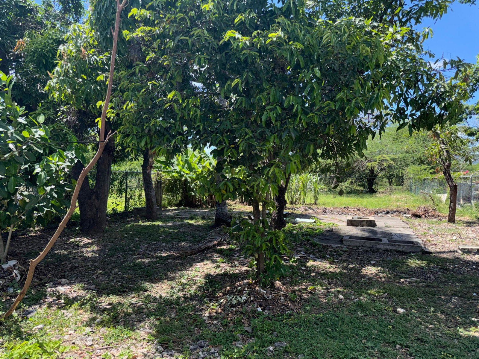 Fifteenth image of 6 Denbigh Clarendon in Four Paths, Clarendon, Jamaica - property is For Sale