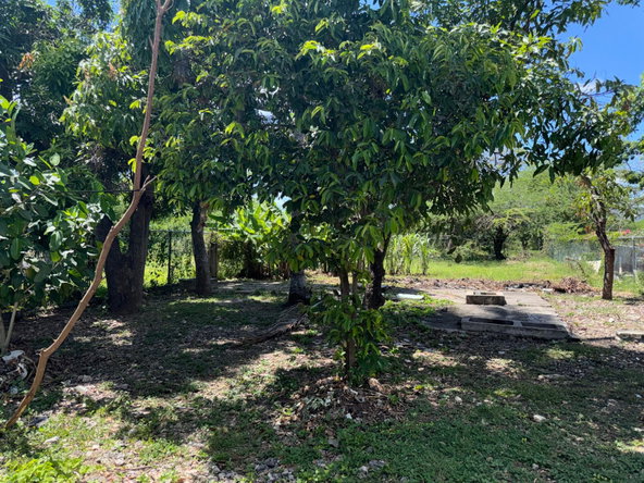 Fifteenth image of 6 Denbigh Clarendon in Four Paths, Clarendon, Jamaica - property is For Sale