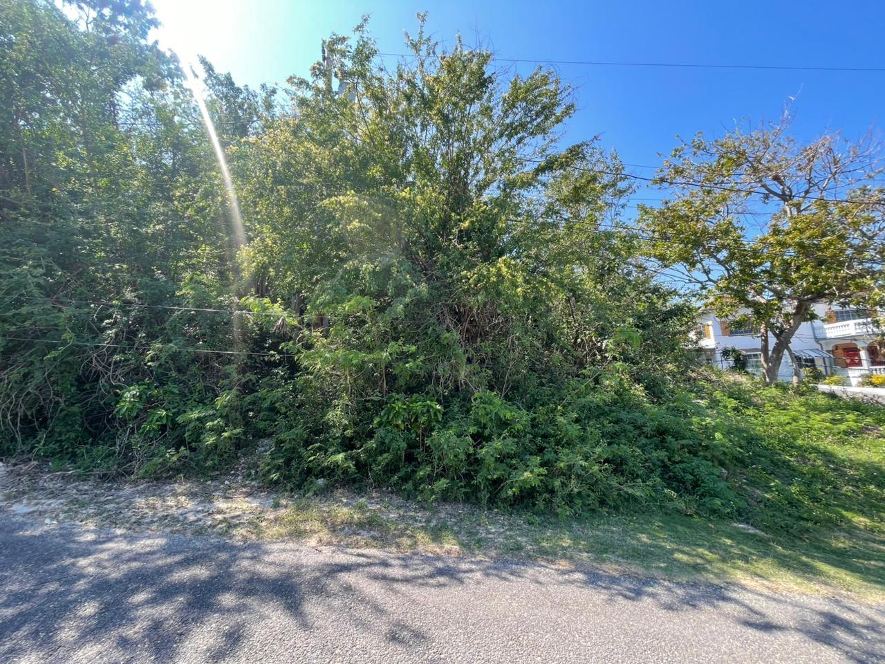 Fifth image of Lot 23 Haughton Court in Haughton Court, Hanover, Jamaica - property is For Sale