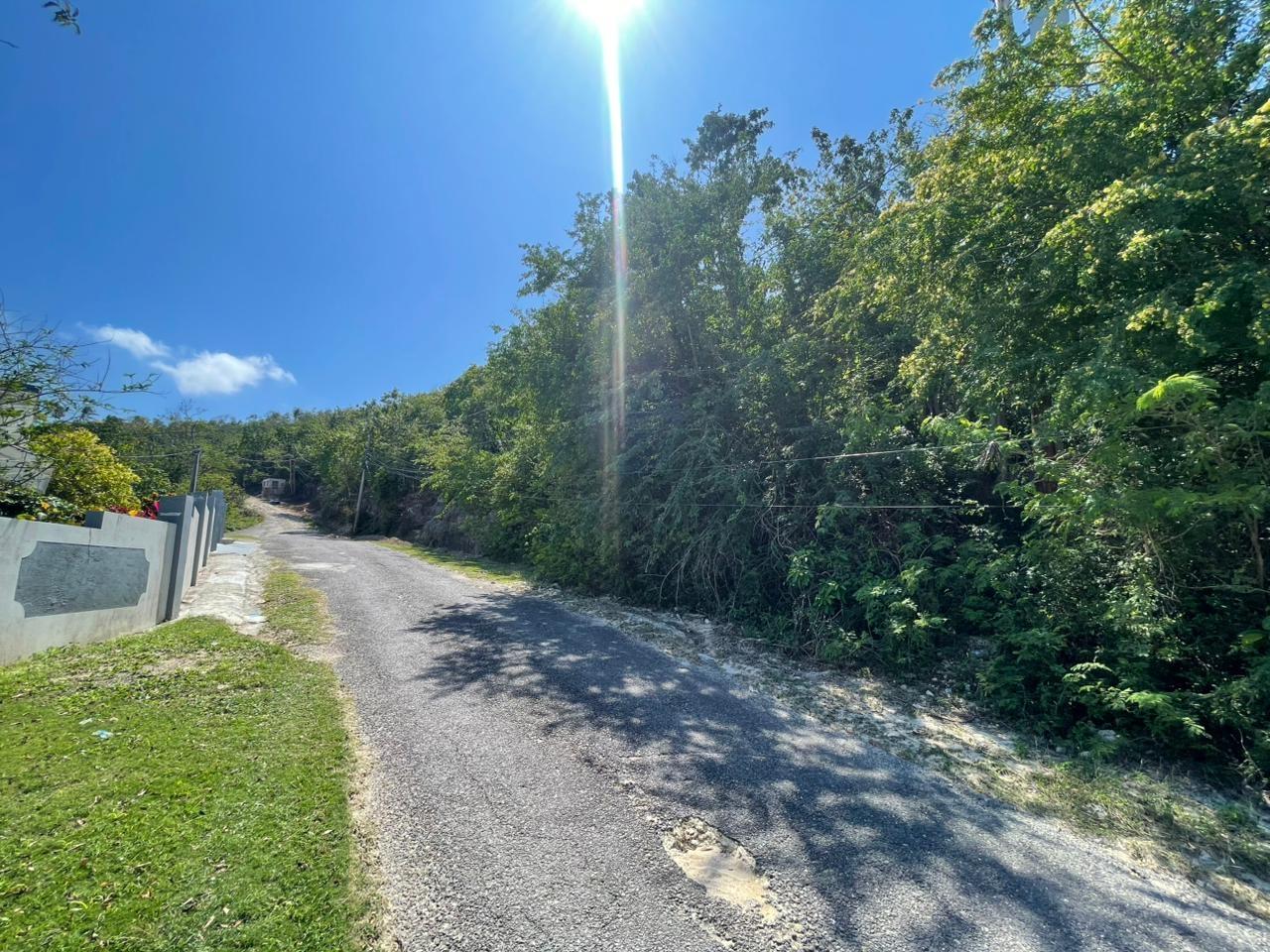 Sixth image of Lot 23 Haughton Court in Haughton Court, Hanover, Jamaica - property is For Sale