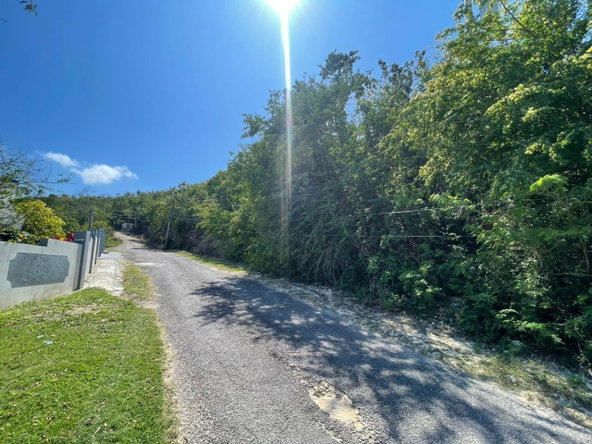 Sixth image of Lot 23 Haughton Court in Haughton Court, Hanover, Jamaica - property is For Sale