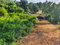 First image of Macca Tree in Macca Tree, St. Catherine, Jamaica - property is For Sale