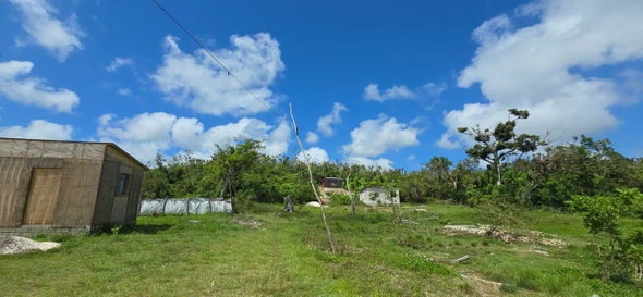Eleventh image of 240 Bounty Hall in Bounty Hall, Trelawny, Jamaica - property is For Sale