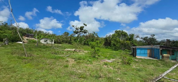 Twelfth image of 240 Bounty Hall in Bounty Hall, Trelawny, Jamaica - property is For Sale