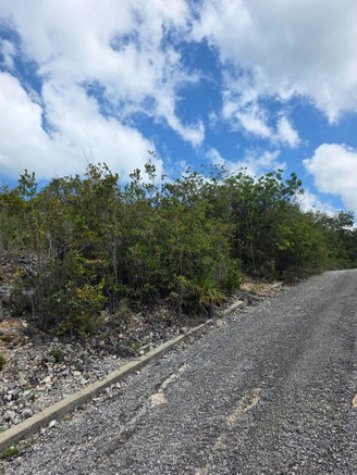 First image of Albion Estate, Spring Gar in Albion Estate, St. Thomas, Jamaica - property is For Sale