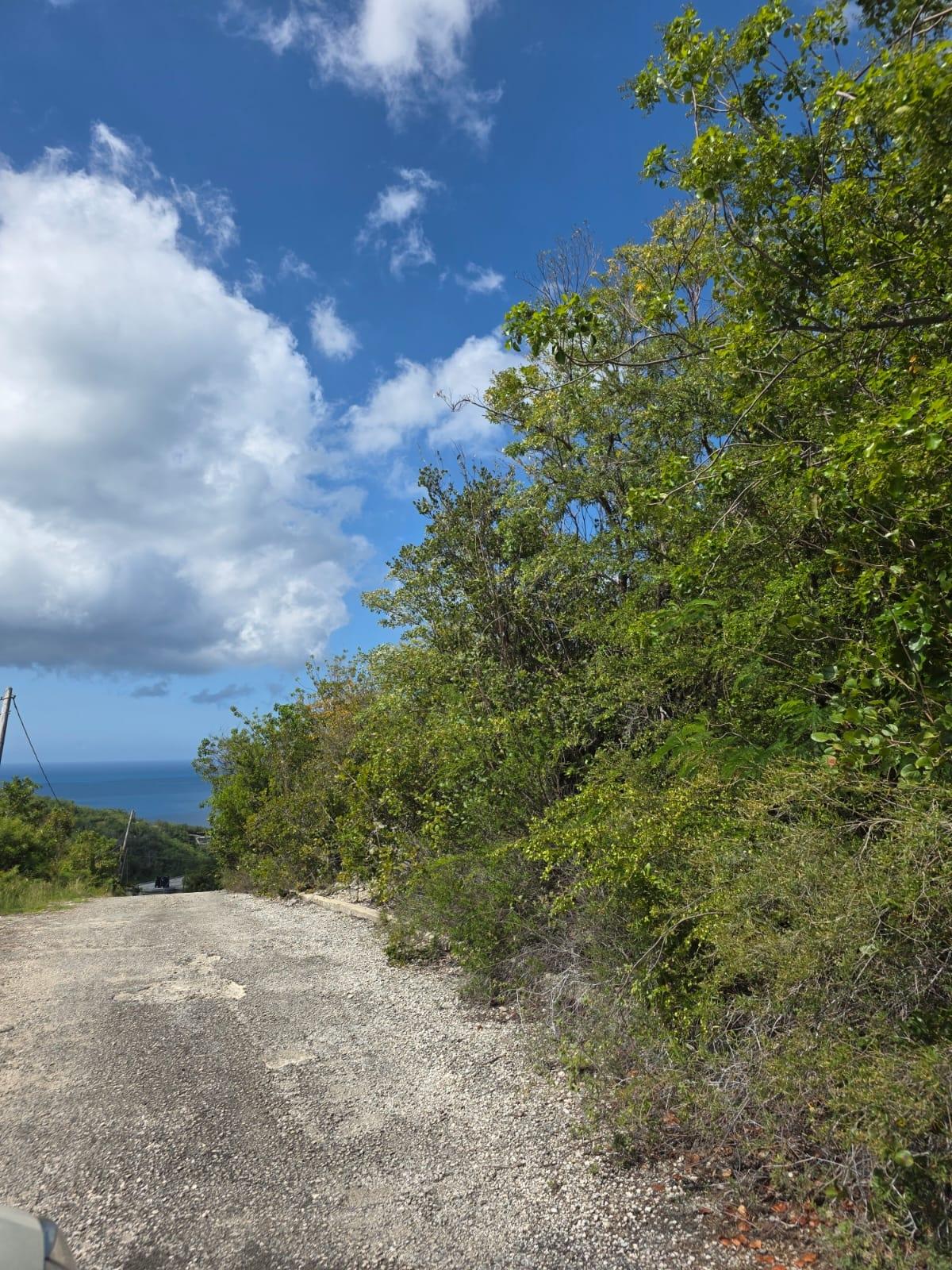 Second image of Albion Estate, Spring Gar in Albion Estate, St. Thomas, Jamaica - property is For Sale