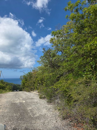 Second image of Albion Estate, Spring Gar in Albion Estate, St. Thomas, Jamaica - property is For Sale