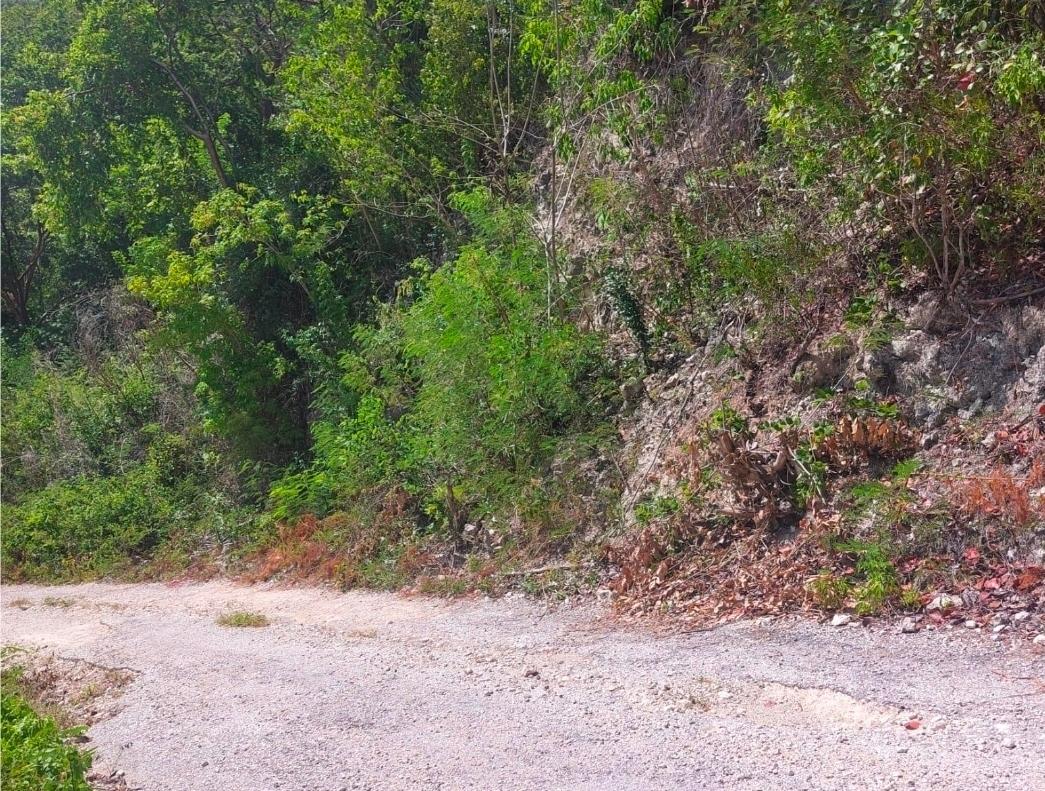 Seventh image of Albion Estate, Spring Gar in Albion Estate, St. Thomas, Jamaica - property is For Sale
