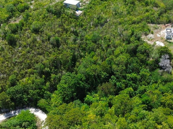 Eighth image of Albion Estate, Spring Gar in Albion Estate, St. Thomas, Jamaica - property is For Sale