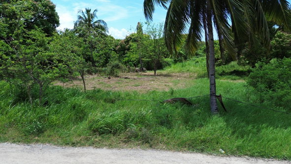 Fourth image of 43 Rozelle in Port Morant, St. Thomas, Jamaica - property is For Sale