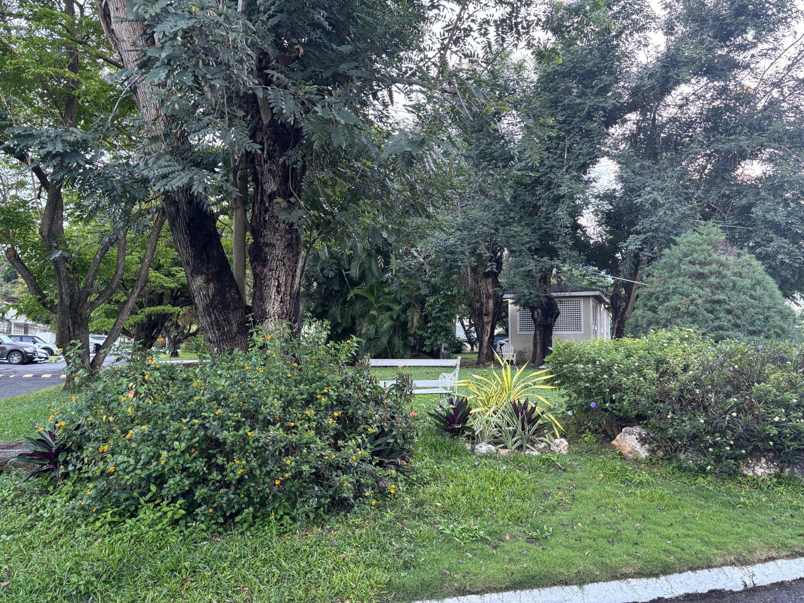 Fifteenth image of 318-1a Norbrook Road in Kingston 8, St. Andrew, Jamaica - property is For Rent