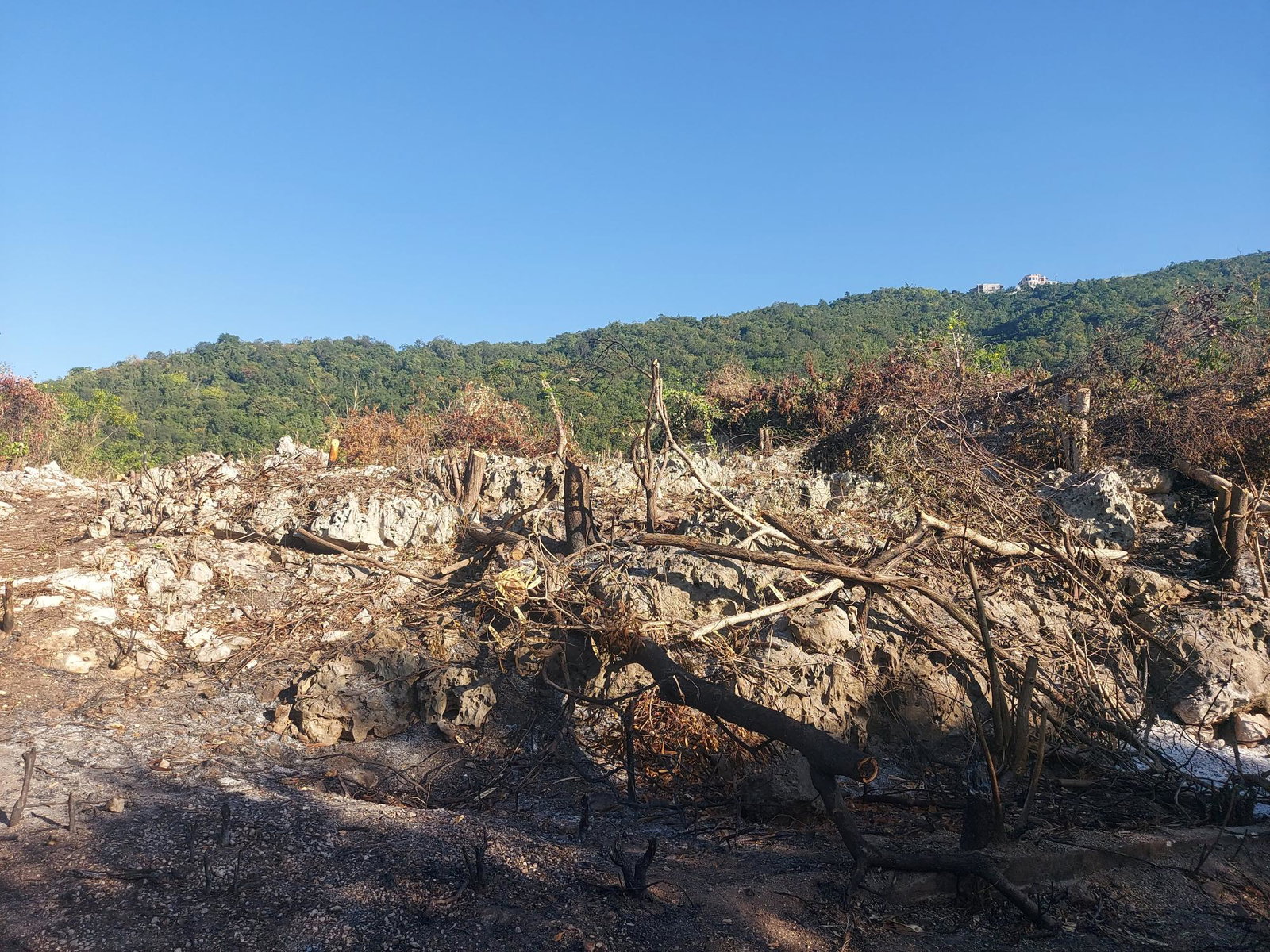First image of Henzel Terrace in Red Hills, St. Andrew, Jamaica - property is For Sale