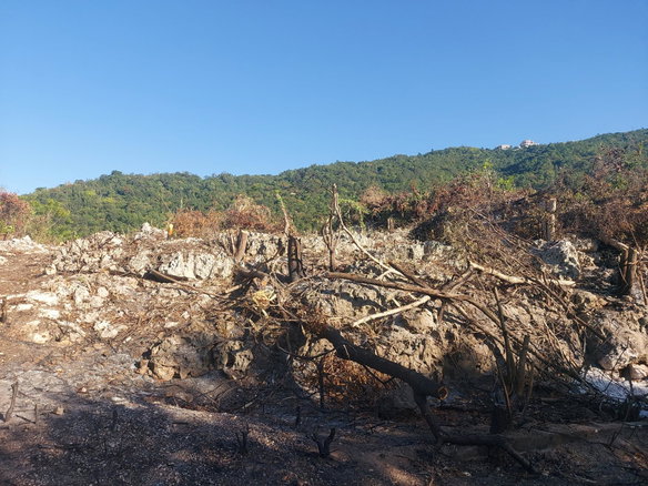 First image of Henzel Terrace in Red Hills, St. Andrew, Jamaica - property is For Sale