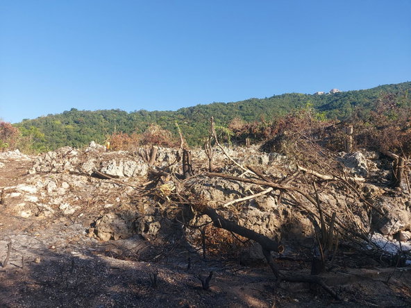 First image of Henzel Terrace in Red Hills, St. Andrew, Jamaica - property is For Sale