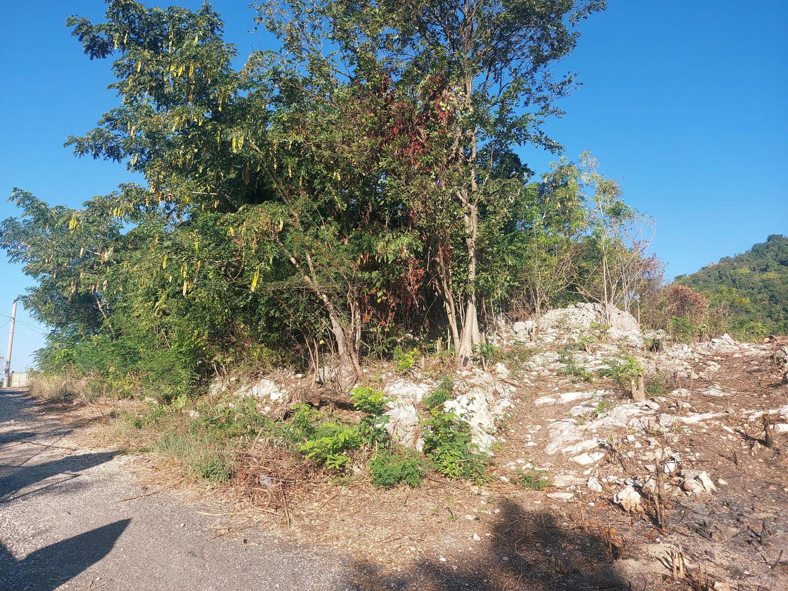 Third image of Henzel Terrace in Red Hills, St. Andrew, Jamaica - property is For Sale