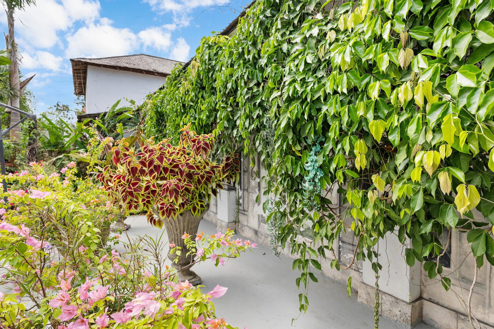 Twenty-Sixth image of Bali Hai Tryall Club in Tryall Estate, Hanover, Jamaica - property is For Sale