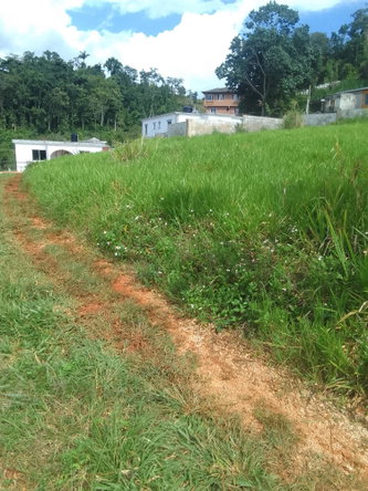 Fourth image of 23 Airymount Road in Mandeville, Manchester, Jamaica - property is For Sale