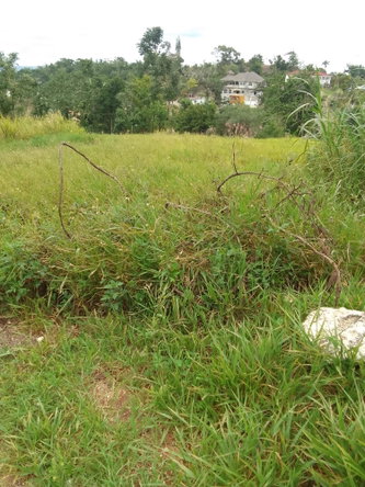 Fifth image of 23 Airymount Road in Mandeville, Manchester, Jamaica - property is For Sale
