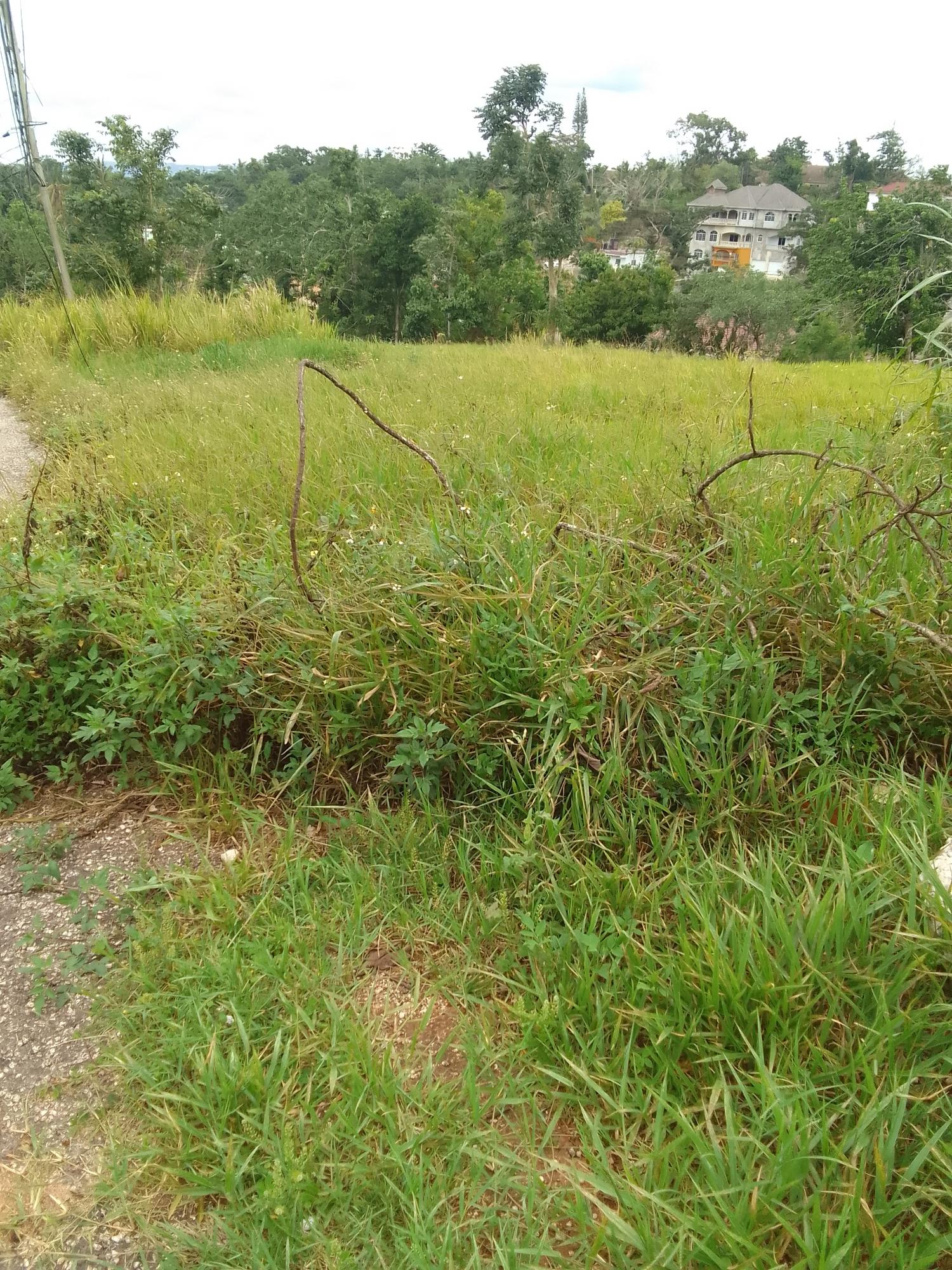 Sixth image of 23 Airymount Road in Mandeville, Manchester, Jamaica - property is For Sale