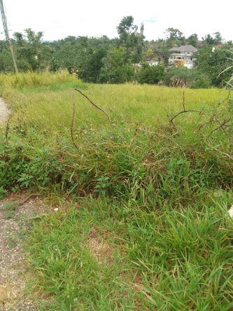 Sixth image of 23 Airymount Road in Mandeville, Manchester, Jamaica - property is For Sale