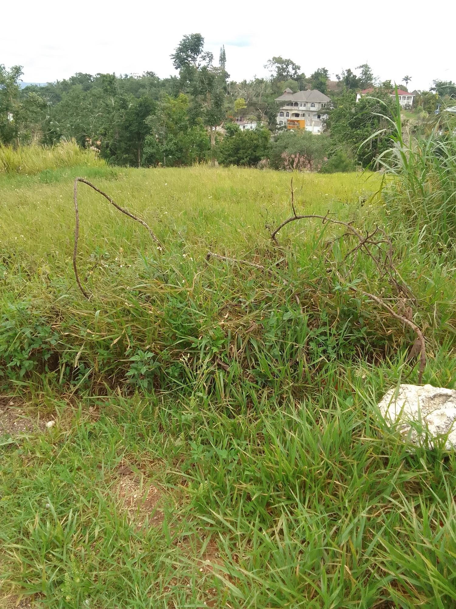 Seventh image of 23 Airymount Road in Mandeville, Manchester, Jamaica - property is For Sale