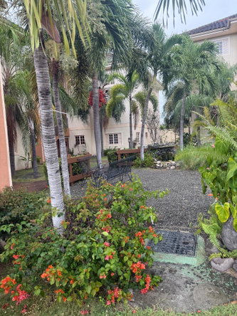 Twentieth image of 14-1 Marley Road in Kingston 6, St. Andrew, Jamaica - property is For Rent