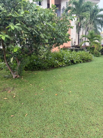 Twenty-Third image of 14-1 Marley Road in Kingston 6, St. Andrew, Jamaica - property is For Rent