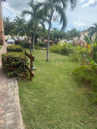 Twenty-Fourth image of 14-1 Marley Road in Kingston 6, St. Andrew, Jamaica - property is For Rent