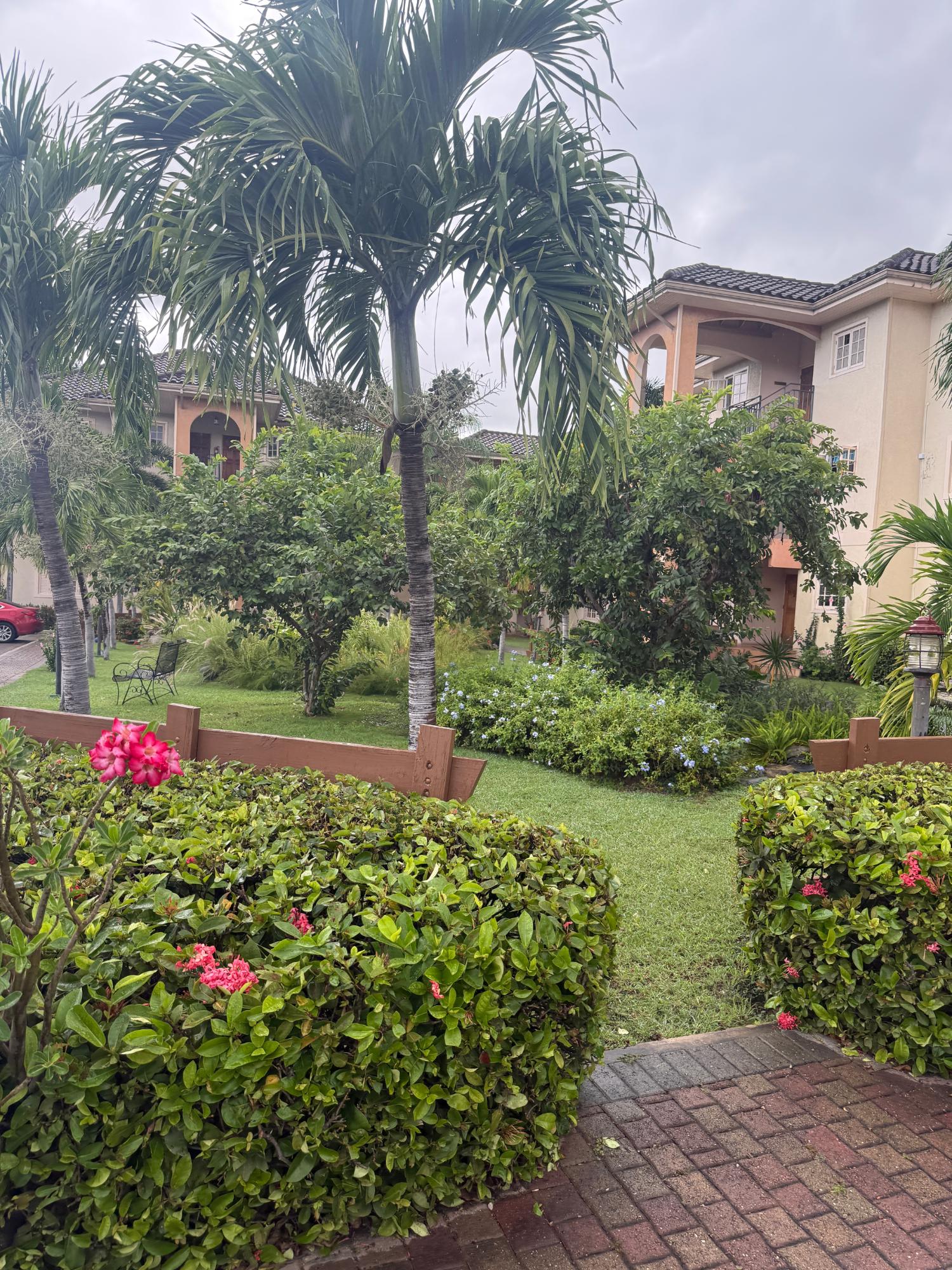 Twenty-Fifth image of 14-1 Marley Road in Kingston 6, St. Andrew, Jamaica - property is For Rent