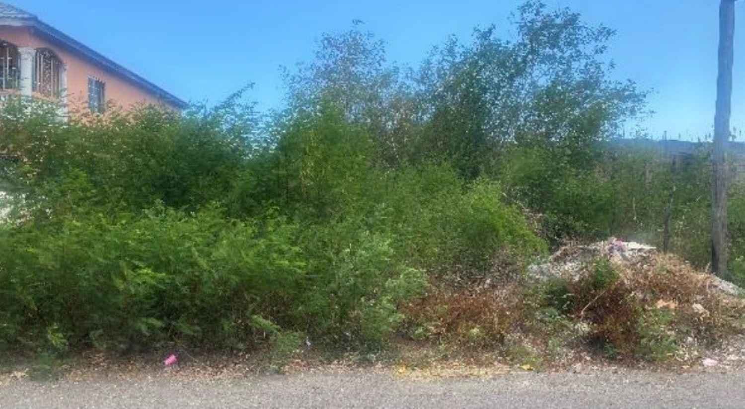 First image of Hummingbird Avenue in Milk River, Clarendon, Jamaica - property is For Sale