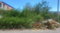 First image of Hummingbird Avenue in Milk River, Clarendon, Jamaica - property is For Sale