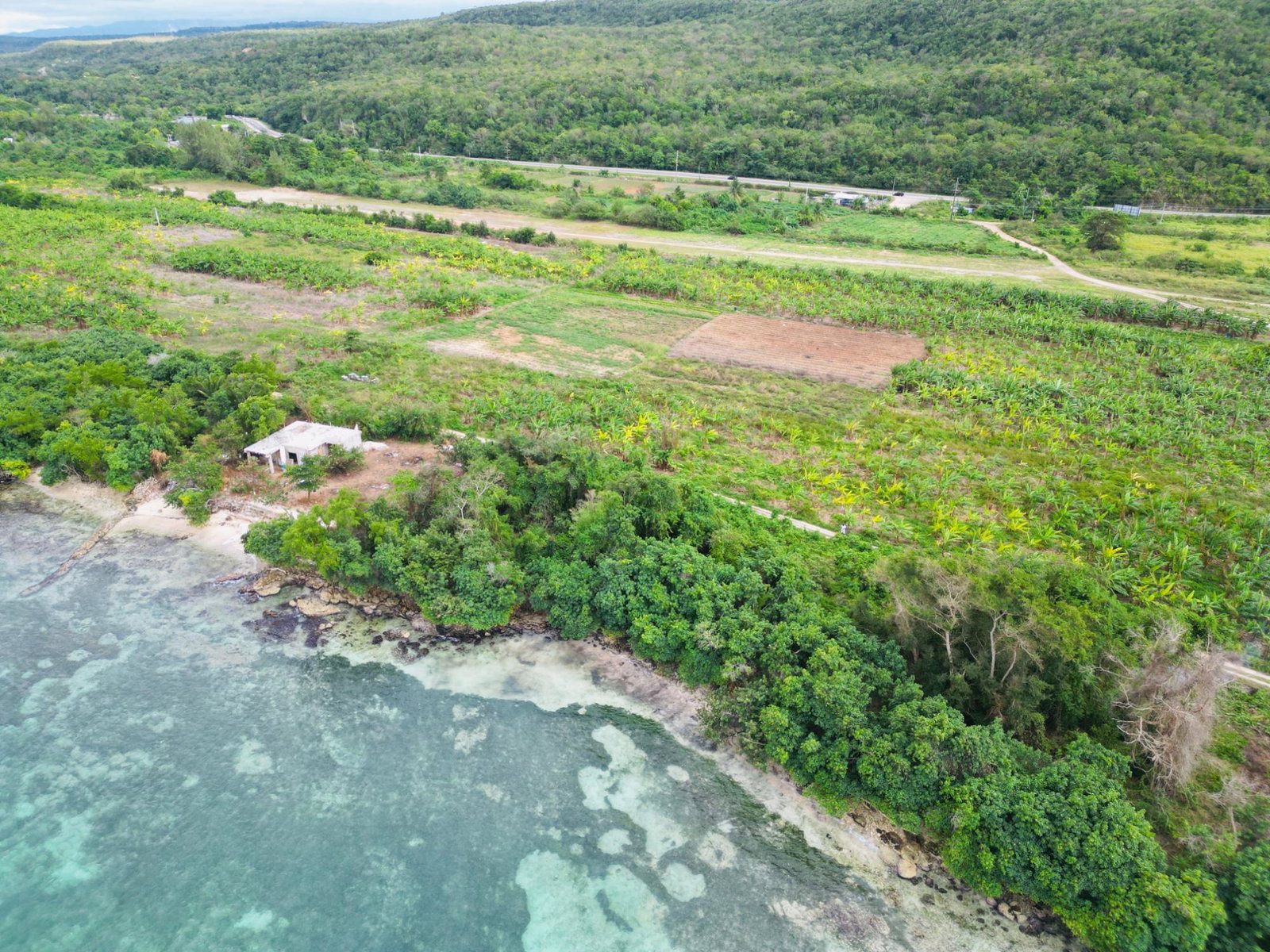 Eleventh image of Braco & Lancaster in Duncans, Trelawny, Jamaica - property is For Sale