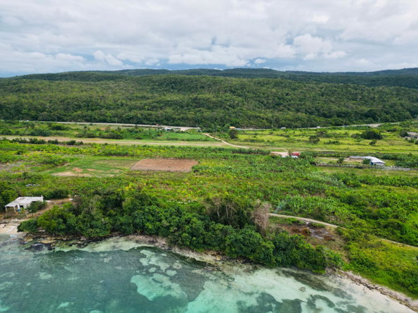 Thirteenth image of Braco & Lancaster in Duncans, Trelawny, Jamaica - property is For Sale