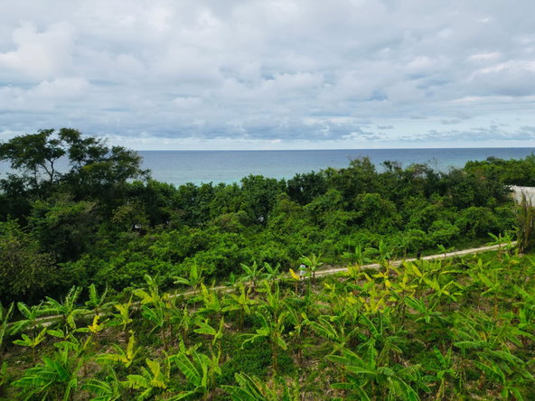Sixth image of Braco & Lancaster in Duncans, Trelawny, Jamaica - property is For Sale